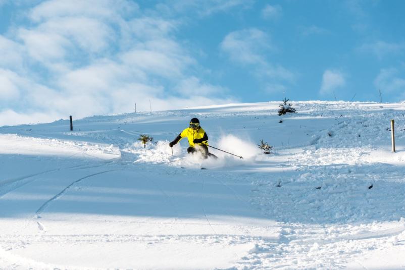 Alpsko smučanje Ajdovščina