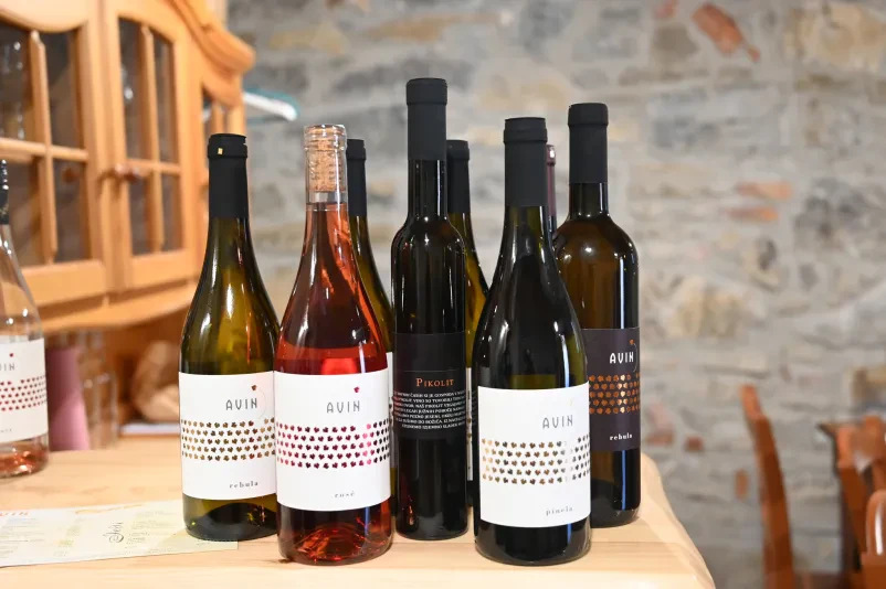 Vrhunsko vino v Vipavi