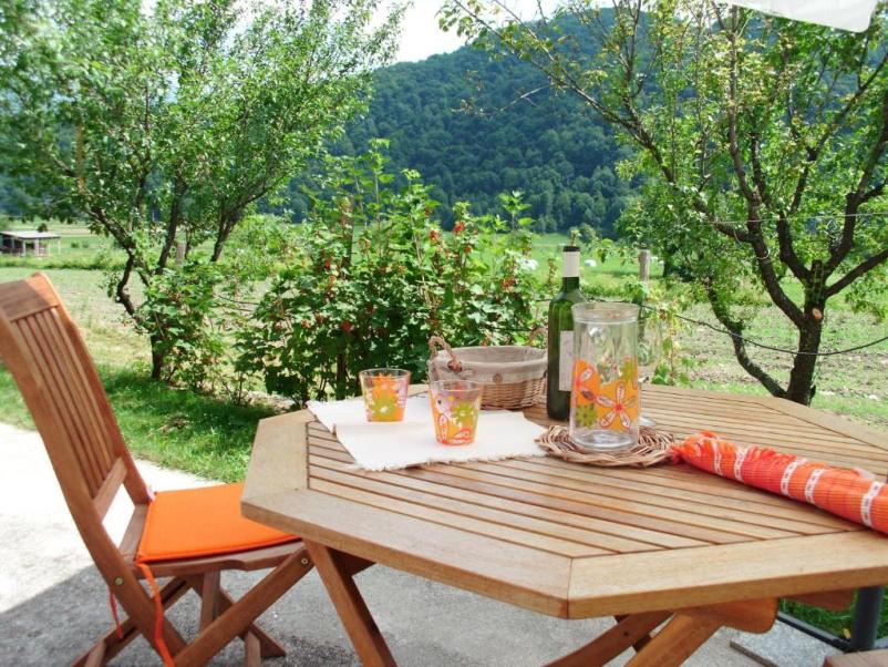 Spacious apartment near Soča