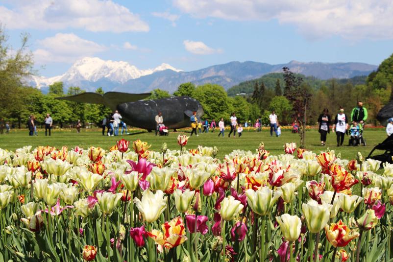 Arboretum Volčji potok