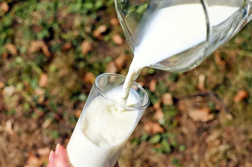 domači produkti bovec kozje mleko