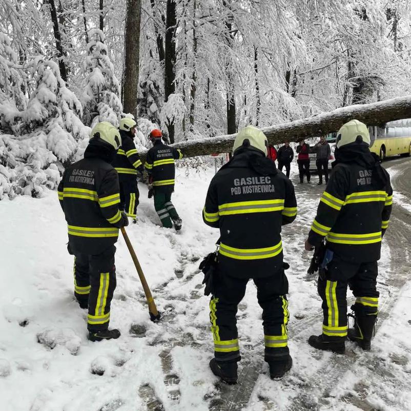 Prostovoljno gasilsko društvo Kostrevnica