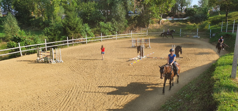 Konjeniški klub Slovenska Bistrica, Podravje