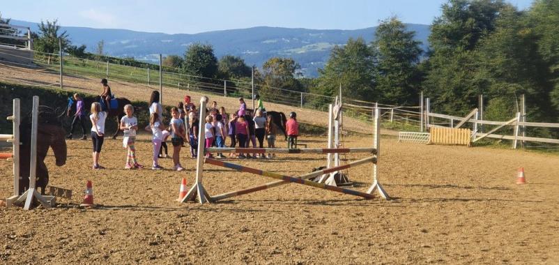 Šola jahanja Slovenska Bistrica, Podravje