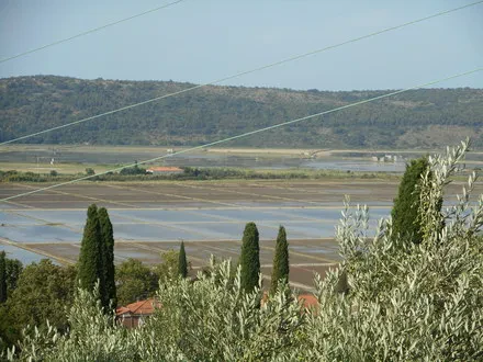 Ugoden najem sobe pri Sečoveljskih solinah