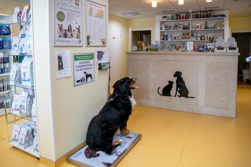 Veterinarski center Izola