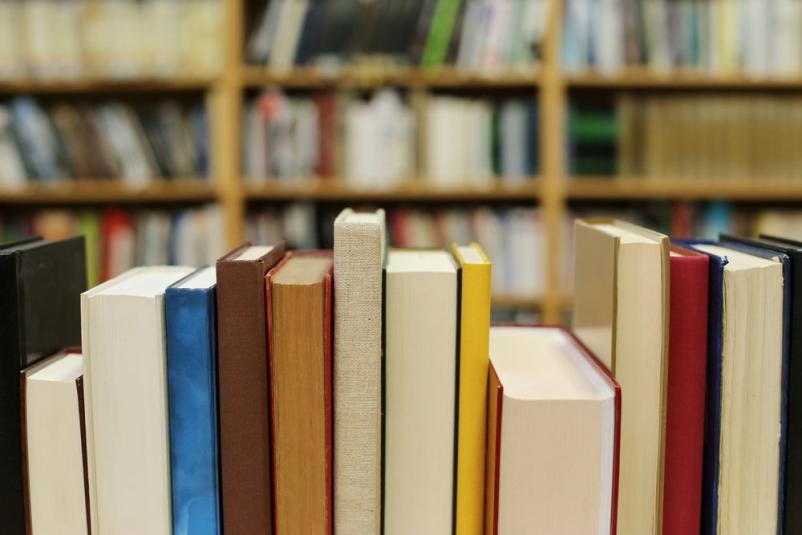 Bibliopedagoške ure za dijake Sevnica