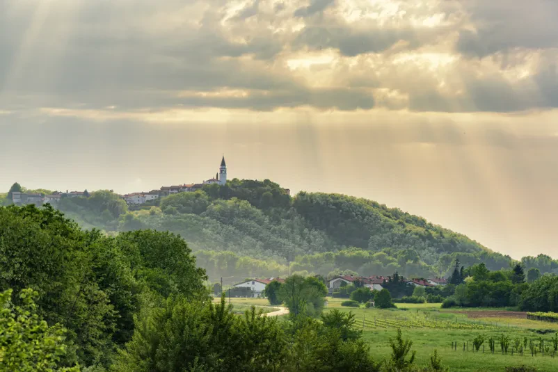 Rod Mladi bori Ajdovščina