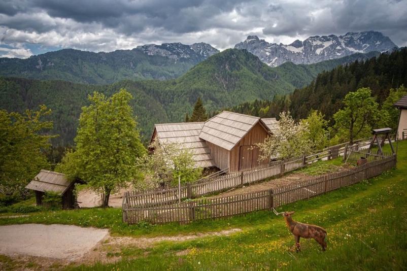 Kmečki turizem Solčava