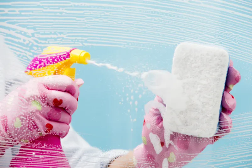 Čiščenje Ljubljana