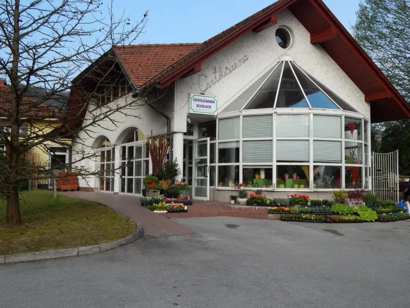 cvetlični aranžmaji