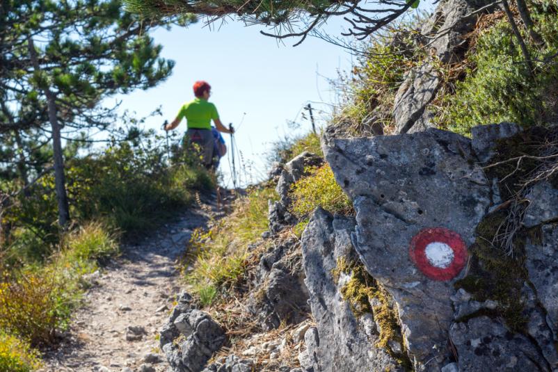 Planinsko društvo Gorje