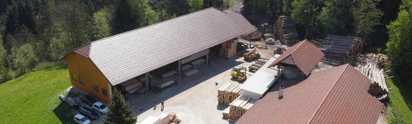 Iščem podjetje, ki nudi odkup in prodajo in hlodovine na Savinjskem