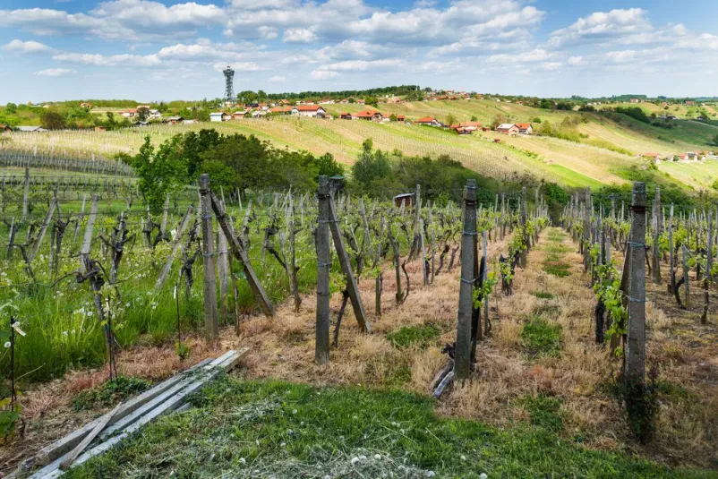 Oprema za vinogradništvo