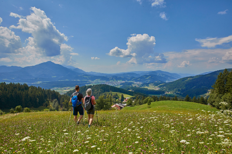 Prireditve Slovenj Gradec