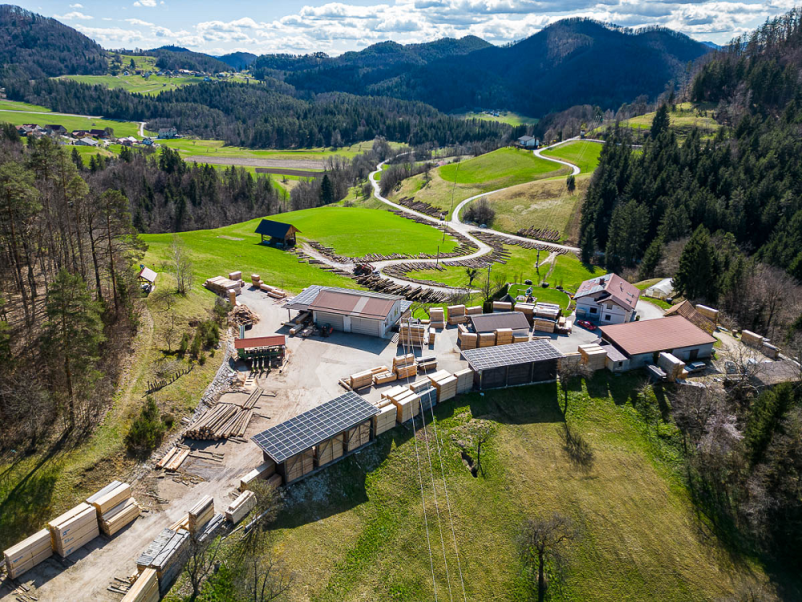 Prevoz hlodovine Slovenija, tujina