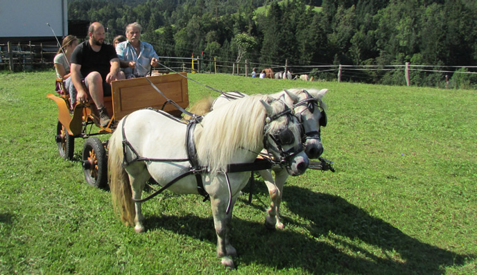 Turistična kmetija in prenočišča Lovrenc