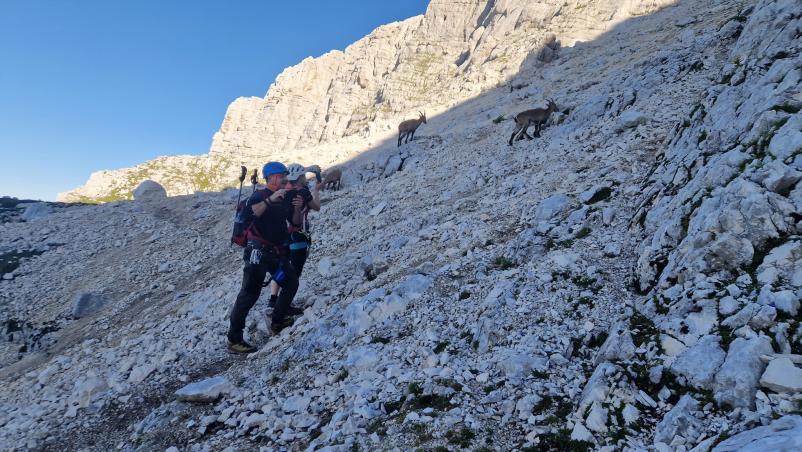 Vodeni planinski pohodi