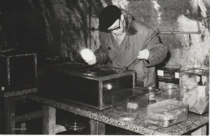 Jamski laboratorij Slovenija