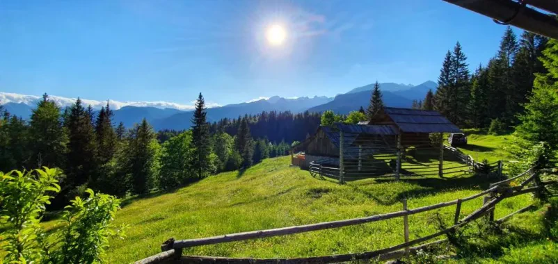 Ein Ferienhaus für 8 Personen in Pokljuka mieten