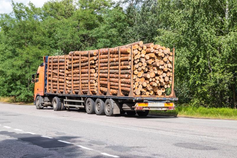 Hiter transport hlodovine Celje, Savinjska