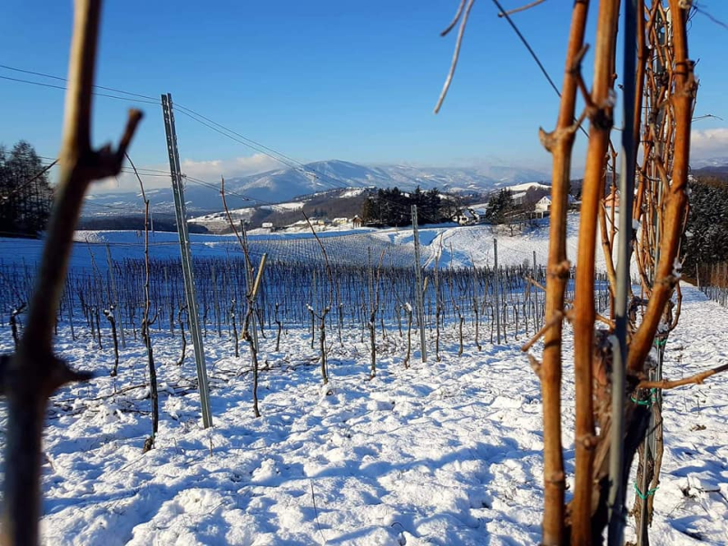 Počitnice na turistični kmetiji