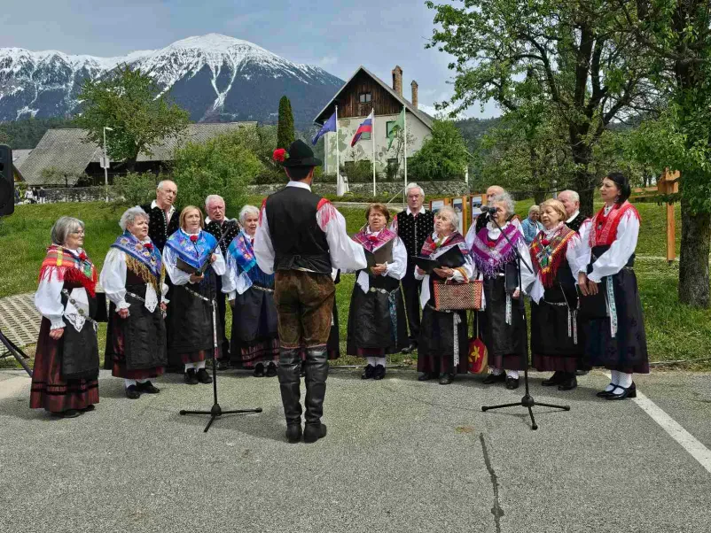 Vpis v kulturno društvo Žirovnica