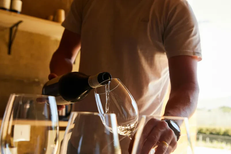 Vpis v Društvo vinogradnikov Gornja Radgona