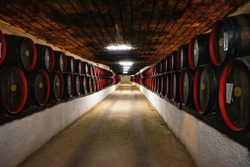 Vpis v Društvo vinogradnikov Radgonsko-kapelskih goric