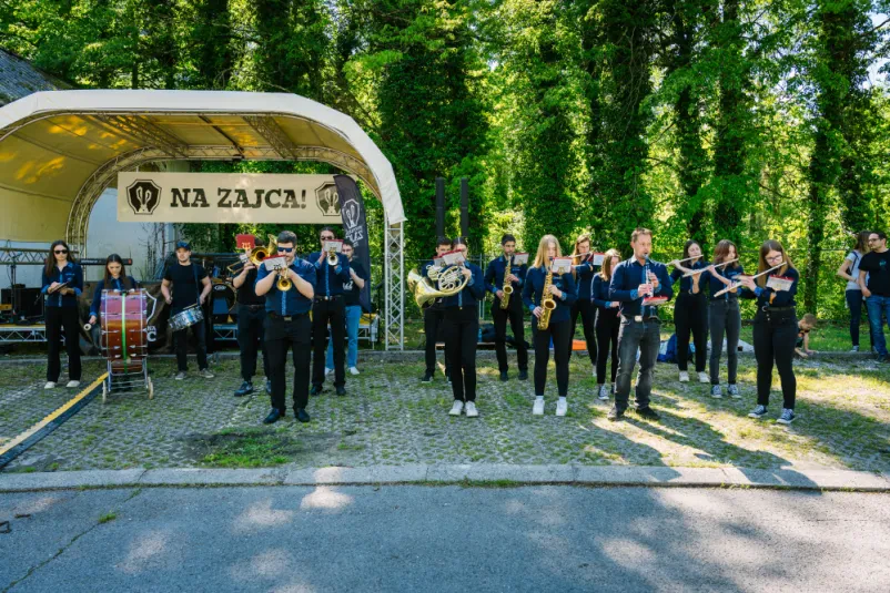Mlada parada Tolmin