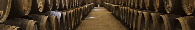 Najboljše rdeče vino