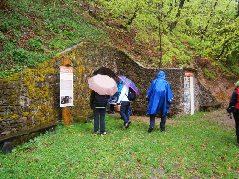 Planinci Celje