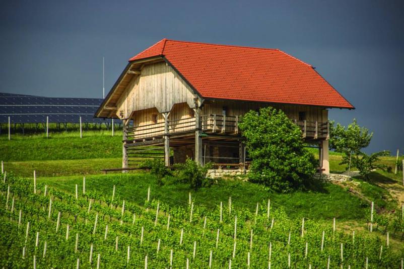 Prostor za zaključne družbe med vinogradi Savinjska