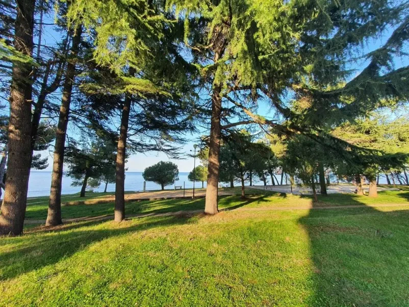 Mladinski hostel Novigrad