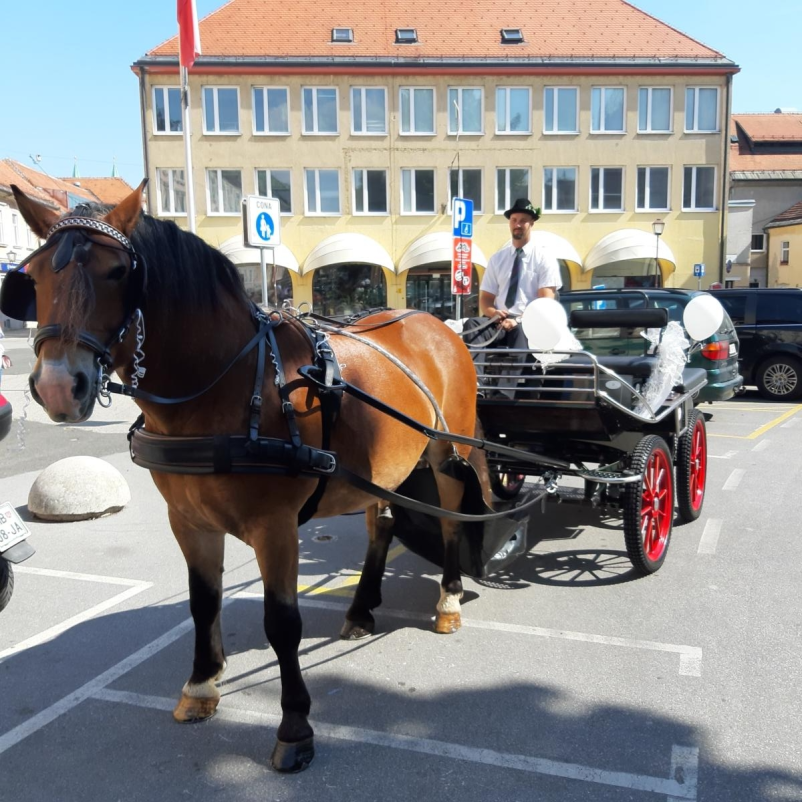 Najem kočije Maribor