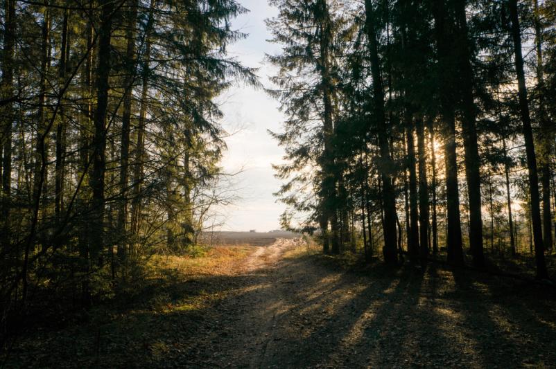   Agrarna skupnost Obalno-Kraška, Primorska