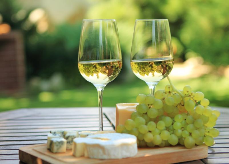 Best white wines in Slovenia