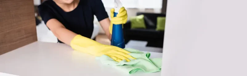 Dober čistilni servis Obala, Gorica