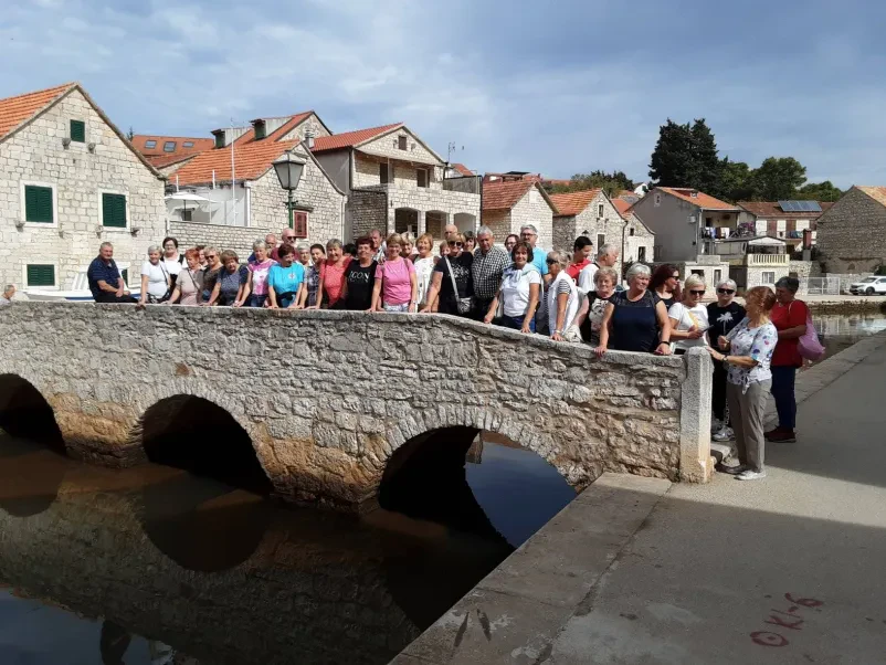 Društvo upokojencev Višnja Gora