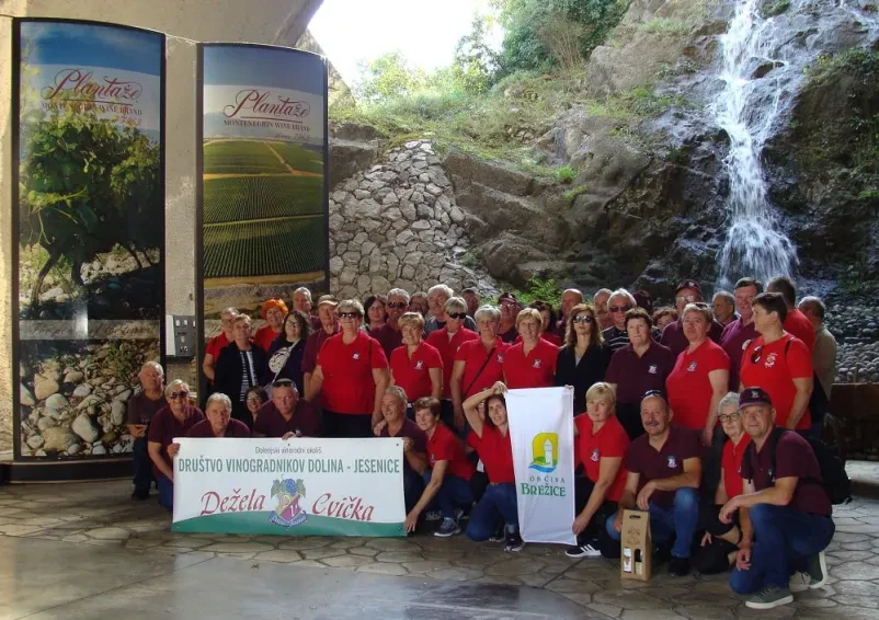 Društvo za promocijo vina Jesenice na Dolenjskem