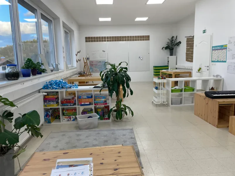 Zasebna osnovna šola Vrhnika