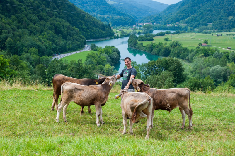 Oddih na turistični kmetiji Tolmin, Goriška