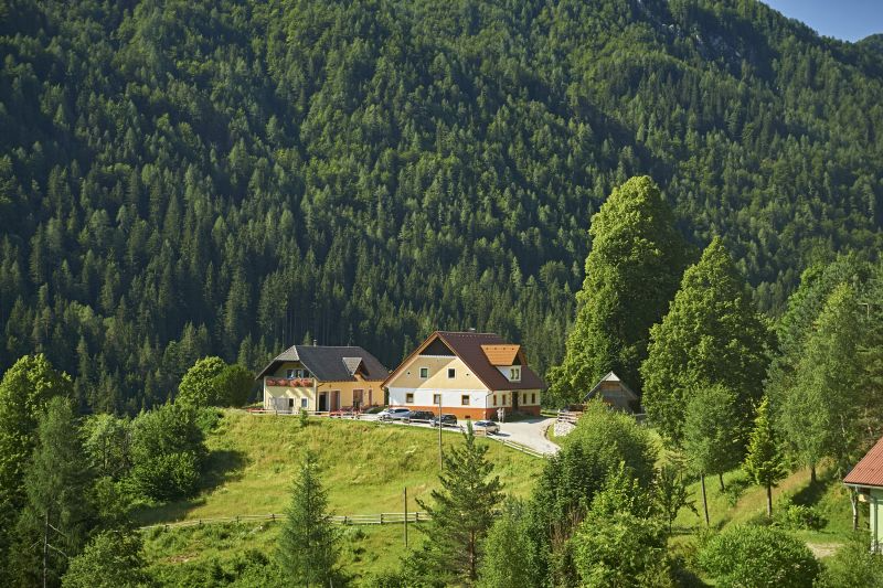 Ugodne sobe pri Solčavi imamo na naši turistični kmetiji Gradišnik