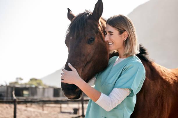 Veterinarsko zdravljenje