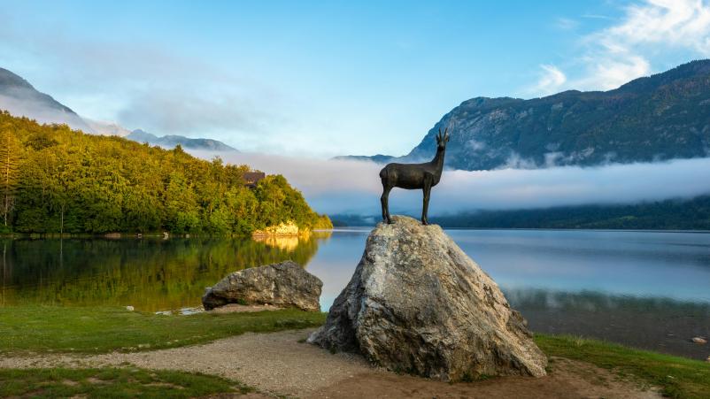 Ugodna oddaja apartmajev Bohinjska Bistrica