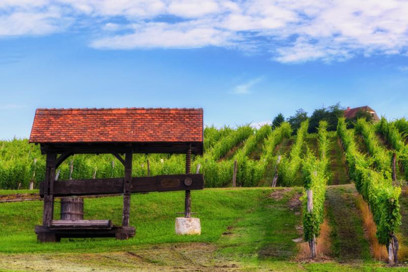 Društvo vaških žena Čemšenik, Zagorje ob Savi