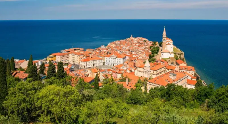 Good fish restaurant Piran