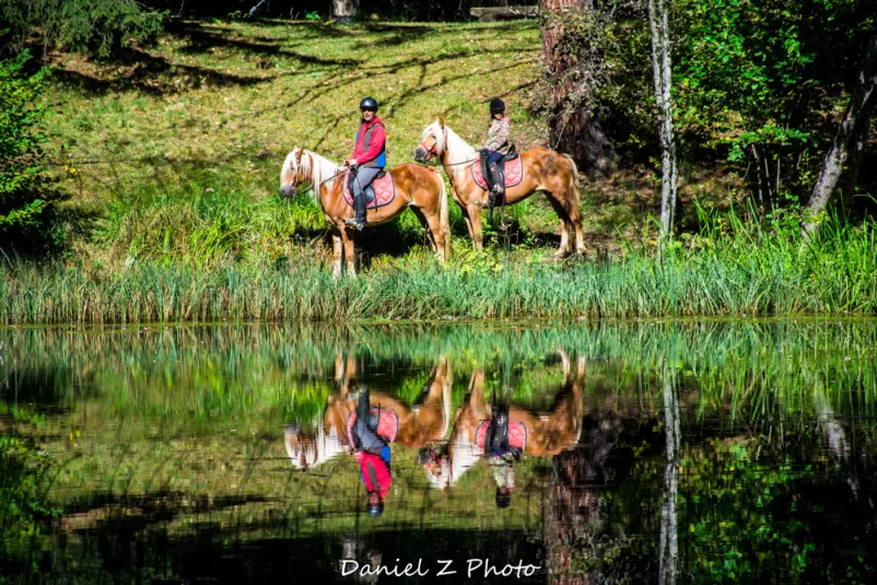 Jahanje konj Planina pod Golico