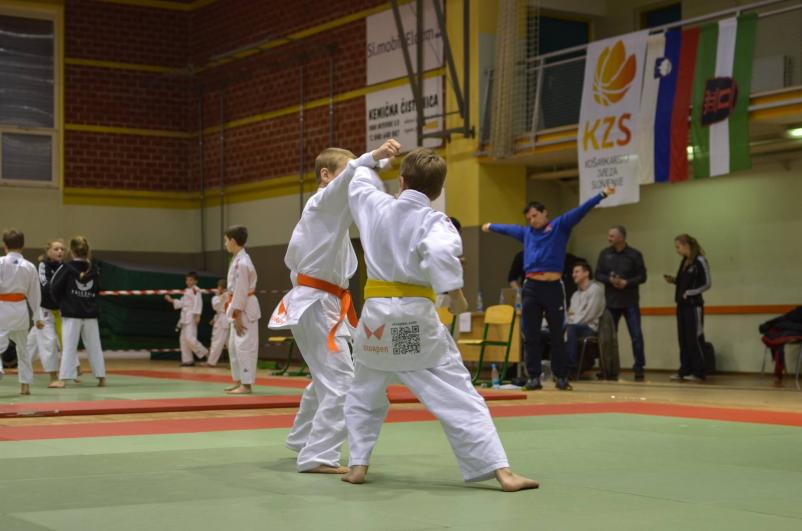 Klub borilnih veščin Ju-Jitsu Fudoshin Savinjska