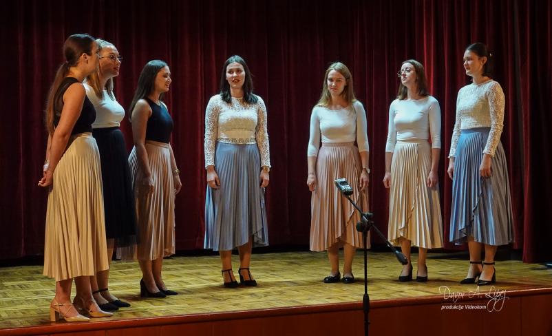 Kulturni dogodki in prireditve Kapele, Brežice